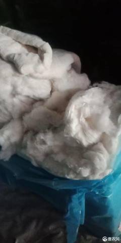 [陆地棉 新疆棉花,棉被加工,品质优良,保暧性好价格23斤