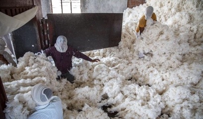纪实: 世界棉花产量第一大国的印度,棉花采摘及加工全过程!