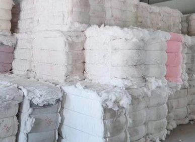 北疆:机采棉收购价涨至5.8元/公斤