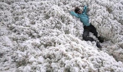 为何印度将本国棉花低价卖给中国,又高价买回?这其中有何意图呢