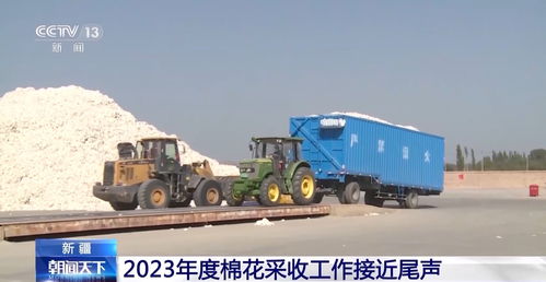 新疆2023年度棉花采收进度