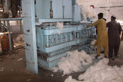 国际 阿富汗 复工的棉花加工厂